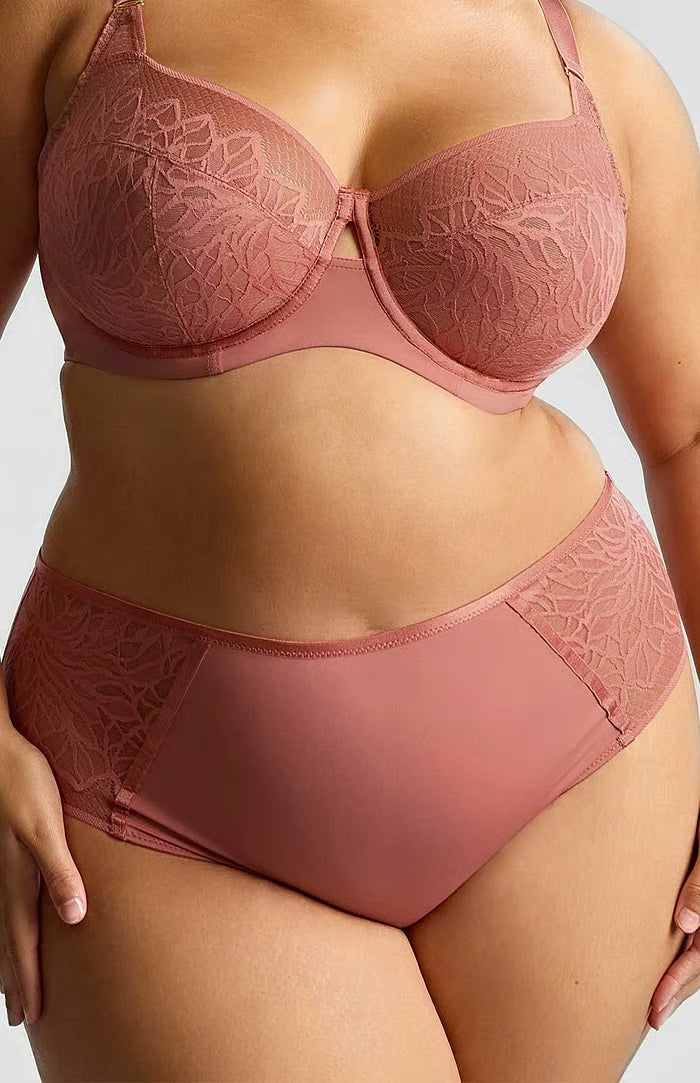 SOPHIA Deep Brief