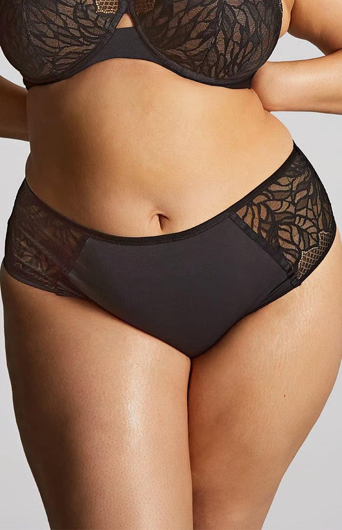 SOPHIA Deep Brief