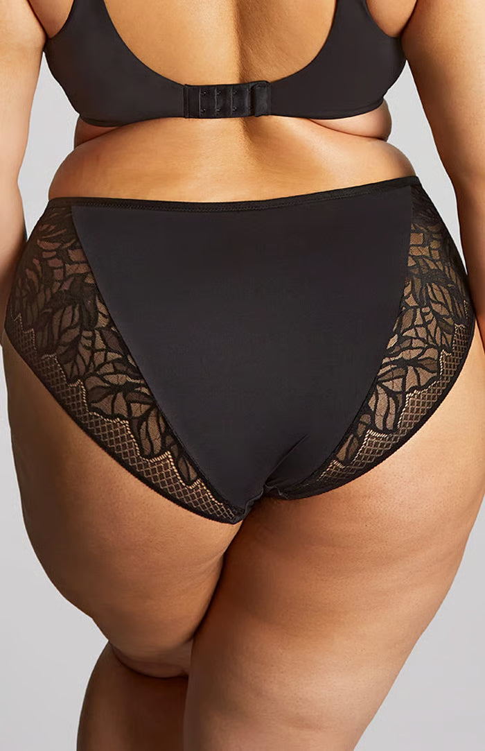 SOPHIA Deep Brief