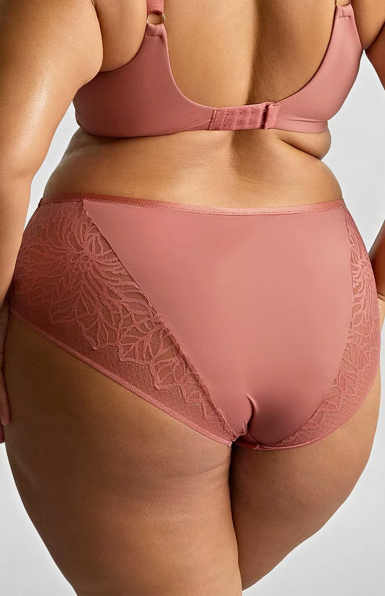 SOPHIA Deep Brief